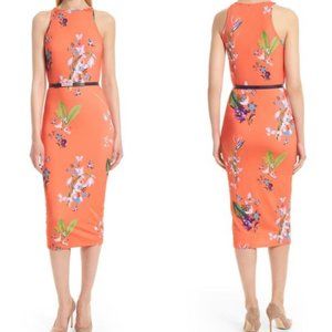 Ted Baker Midi Dress | Size 2